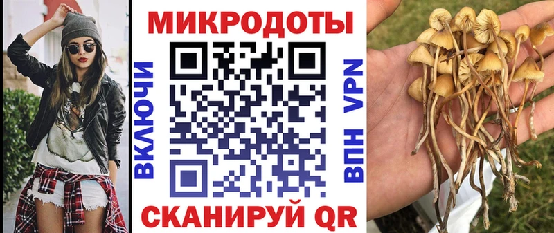 цена наркотик  Югорск  OMG вход  Галлюциногенные грибы ЛСД 
